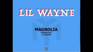 Lil Wayne   Magnolia Freestyle