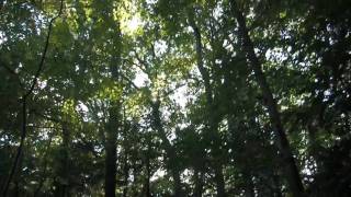 Sigur Ros - Heysatan