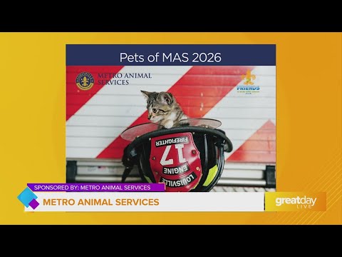 GDL: Grab a 2026 Pets of MAS Calendar - YouTube