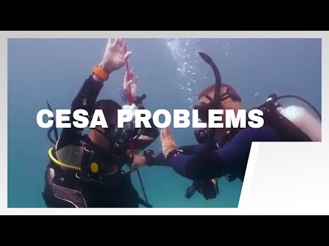 How to Conduct a Controlled Emergency Swimming Ascent (CESA): Common Problems - PADI Open Water