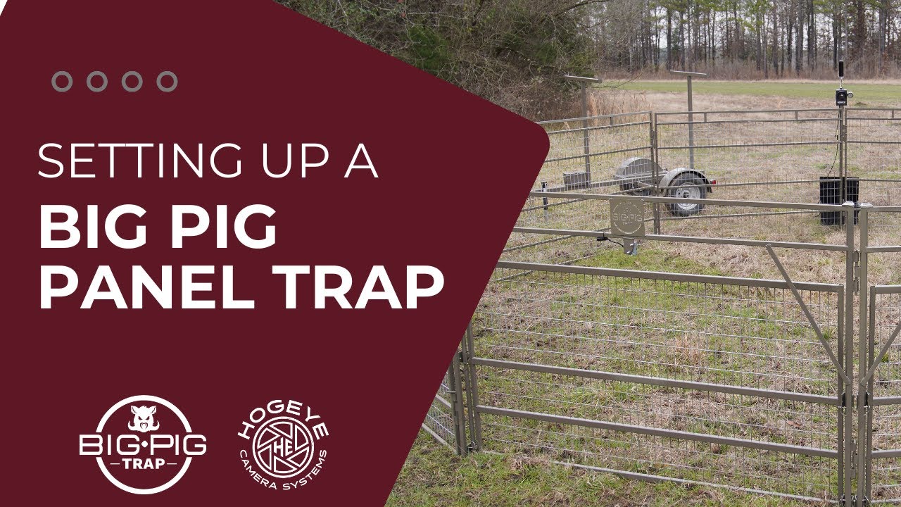 Setting Up A Big Pig Panel Trap