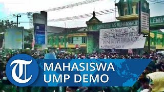 Libur Kuliah, Ribuan Mahasiswa UMP Long March Gelar Aksi Demo