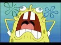 Spongebob Squarepants Spongebob Freaks Out