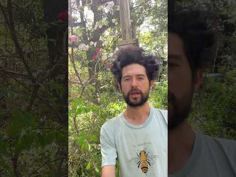 園芸 パーマカルチャーに関するよくある質問