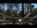 Cabela 39 s Big Game Hunter 2012 Gameplay Trailer ps3 W