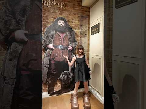 Sarina landet unerwartet in heftigstem Harry Potter Store in New York 🤯⚡️46/100 neue Dinge