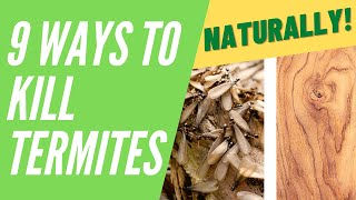 How to Kill Termites Naturally (9 Ways that Actually Work)