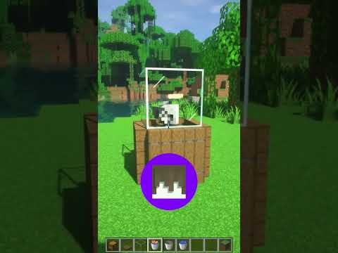 How to build a Fish Showcase in Minecraft? #shorts