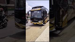 Download lagu Story Bus PO Haryanto #shorts mp3 Download lagu Story Bus PO Haryanto #shorts mp3