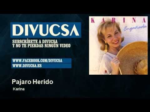 Video thumbnail for Pájaro Herido (1992)
