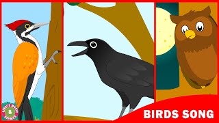 Birds Song | Learn about birds | Toddler Series | Kids song by Bindi&#39;s Music &amp; Rhymes