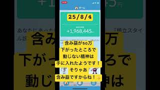 #投資 #つみたてnisa #積立てnisa #積立ニーサ #nisa #オルカン　#資産運用 S&P500 #ニーサ #お金　#新ニーサ　#新nisa #ファング　#fang