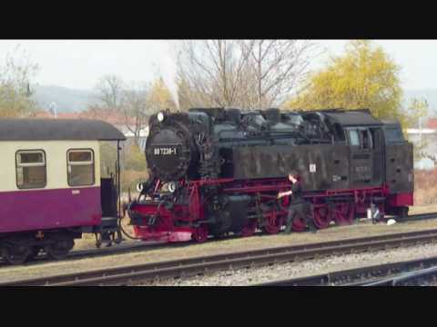 Harzer Smalspurbahnen / Selketalbahn / HSB-Betriebswerk Gernrode (2010)