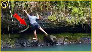 Unexpected Animal Moments That Shocked the World — Caught on Camera