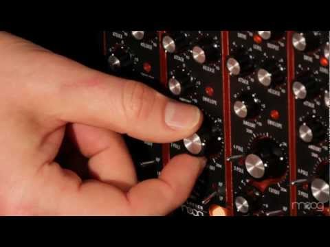 Moog The Ladder 500 Series Filter Module image 6