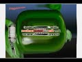 Klaskyklaskyklaskyklasky Gummy Bear In G Major 74 Is Going Weirdness Every