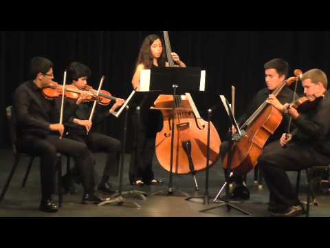 SDSMI 2014: String Quintet in G Major (composed by Antonin Dvorak) PART 2