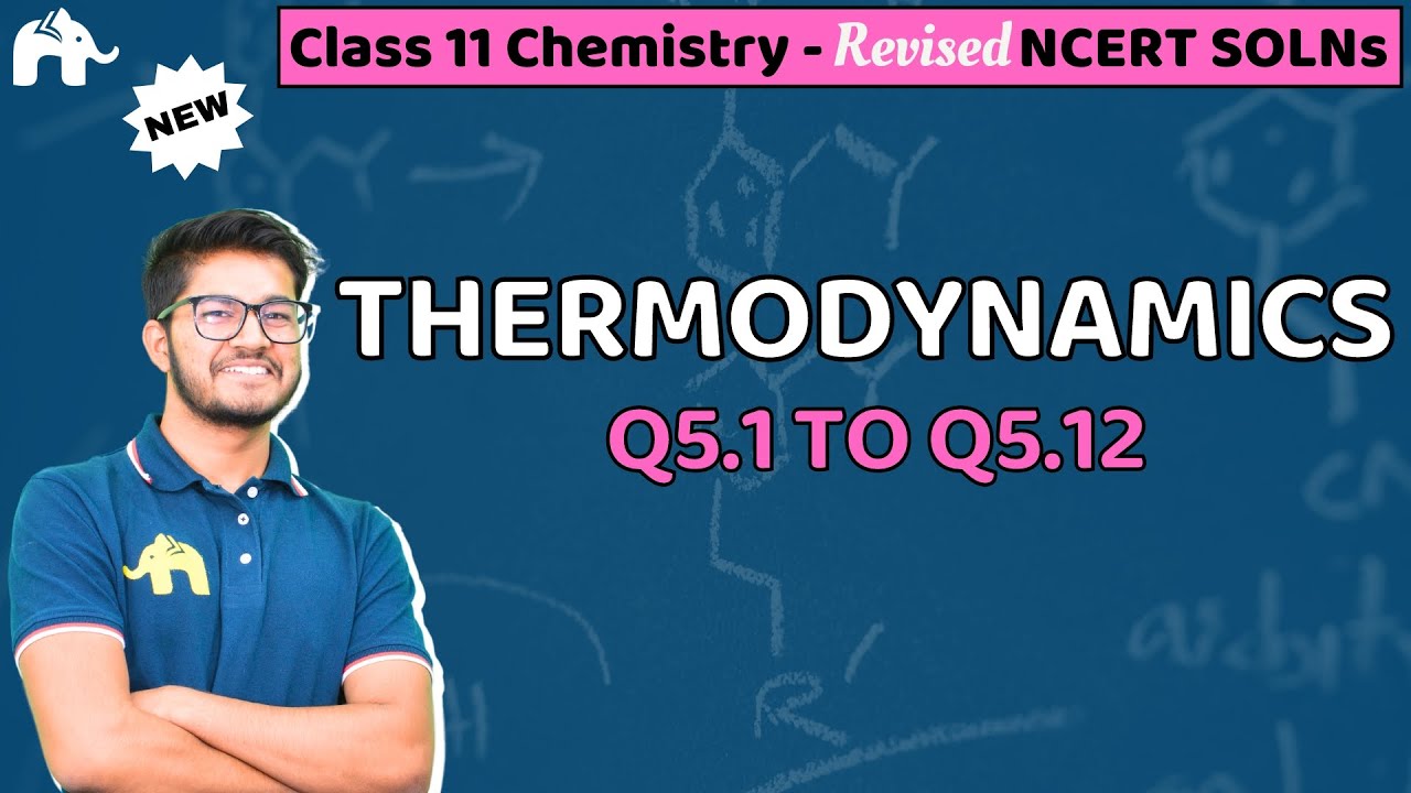Thermodynamics Class 11 Chemistry | Revised NCERT Solutions | Chapter 5 Questions 1-12