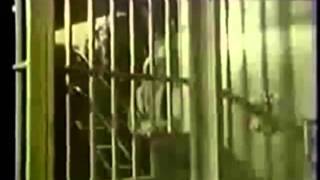 Suicide Commando  Neuro Suspension