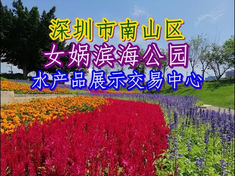 Distrito de Shenzhen Nanshan_Parque Nuchuanhai_Centro comercial e de exposição de produtos marinhos