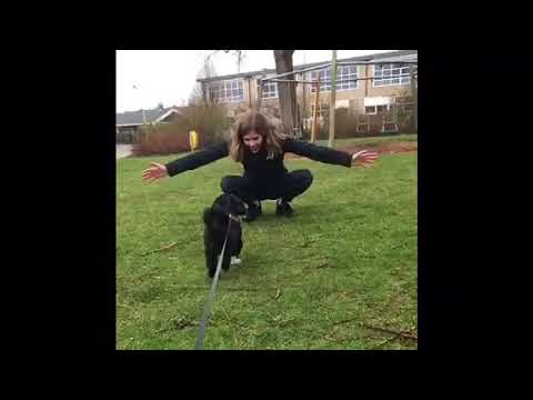 EZVIZ Huisdieren Video Contest #63