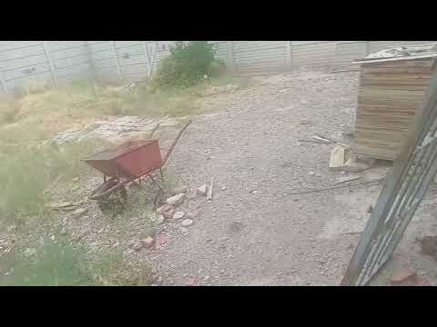 Red tulum linea 4 inter urbana norte ciudad de san juan centro civico albardon b° kirchner 