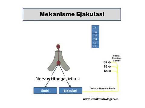 Penis vacuum cleaner Infus untuk meningkatkan potensi