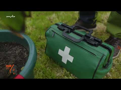 Saurer Boden - was tun? 🌱Topfpflanzen in Not.