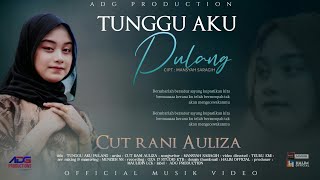 Download lagu Cut Rani Auliza - Tunggu Aku Pulang mp3