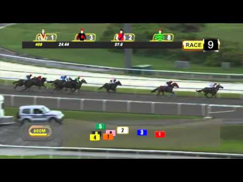 Singapore Horse Racing 17 january Race 9 - 90agency.com