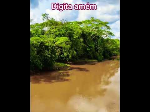 Lindo lugar natureza de Rondônia Receba essa BENÇÃO JARU Rondônia