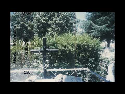 Morbus (International) - Morbus Horrendus (Album 1996)