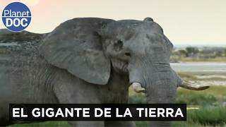 Thumbnail del capítulo