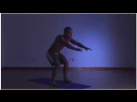 Combat Sambo Systema - Scott Sonnon   - Flowfit   - 1