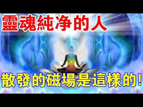 磁場乾淨