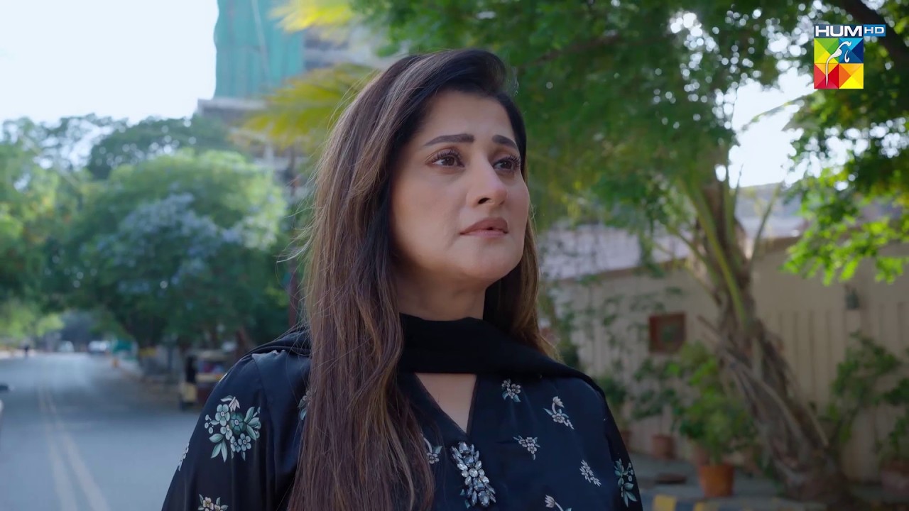 Shireen Howi Ghar Baar Se Darbadar..! #hinatariq - Aye Dil Aazma Nahin - HUM TV