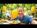 Sorrento Lunch Under The Lemon Trees