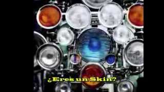 The Professionals - Mods, skins, punks (Subtìtulos Español)