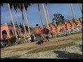 Abbey A And Terry At Ringling 2000