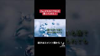 Da-iCEのCITRUS歌ってみた。 #shorts #歌い手 #歌ってみた #daice #ダイス #citrus #切り抜き