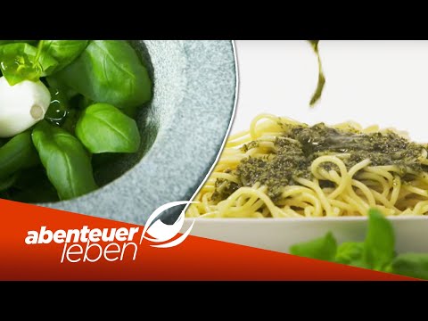 Das leckerste Pesto? Original Pesto Genovese | Abenteuer Leben | Kabel Eins