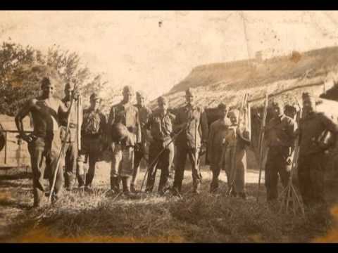 Goliniak - Nie ma ich już