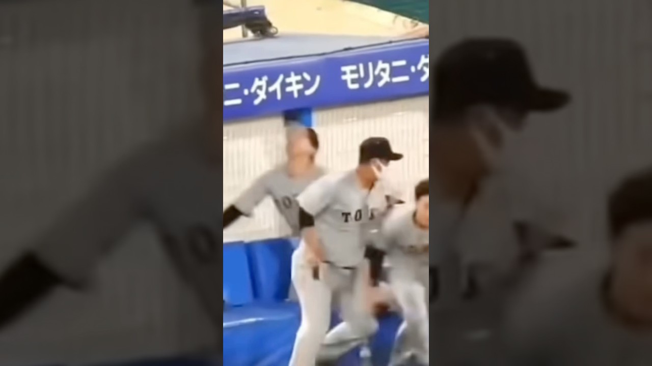 #cat  逃げて‼️