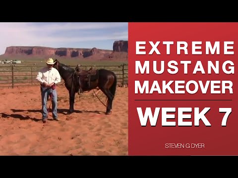 Wild Mustang Challenge Week 7 Extreme Mustang Makeover 2017 (Pt. 7 of 14)  — Horse Training