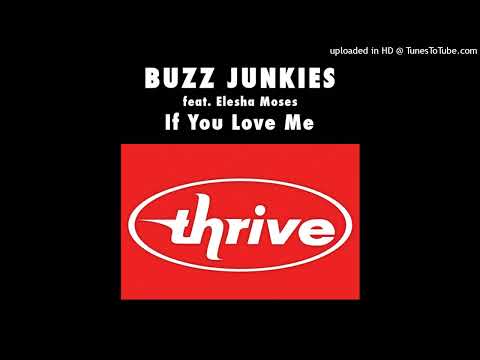 Buzz Junkies (feat. Elesha Moses) - If You Love Me (Thomas Gold Radio Edit)