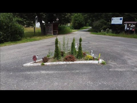 Miniatura filmu