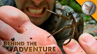 TOE-BITER! Giant Water Bug!