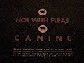 SEVERED HEADS-HOT WITH FLEAS(ALBUM VERSION) CANINE(Extended)