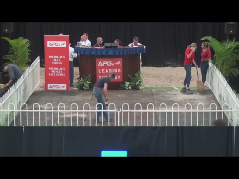 Australian Pacing Gold - Perth 2019