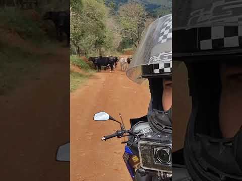 serra da canastra é um paraíso . #serradacanastra #minasgerais #motociclismo #brasil